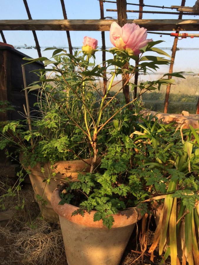 לינה וארוחת בוקר לה הולפה Le Jardin Des Sources מראה חיצוני תמונה